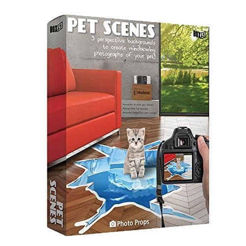 Box 51 PP3509 Pet Scenes Photo Props (Medium)