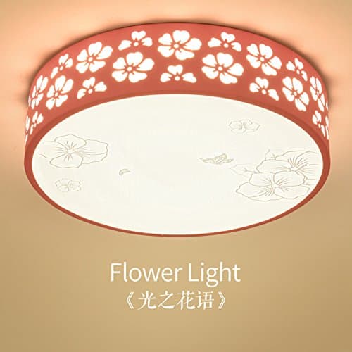WAWZW Simple Modern Led Ceiling Lamp Creative Circular Bedroom Light Romantic Children Room Room Lights Living Room Lights Aisle Balcony Lights, Printing 50CM (Powder) White