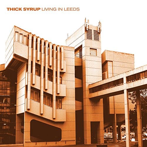 Living in Leeds [VINYL]