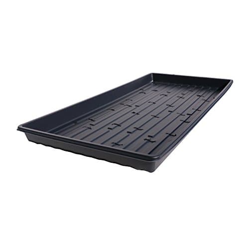 15 Shallow Black Germination Trays for Wheatgrass, Microgreens, Sprouting – Made in USA – Thick, Durable, Reusable (15, Black WITH Holes)