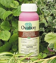 Ovation SC 01-1296 Ovation Sc44; 16 Oz.