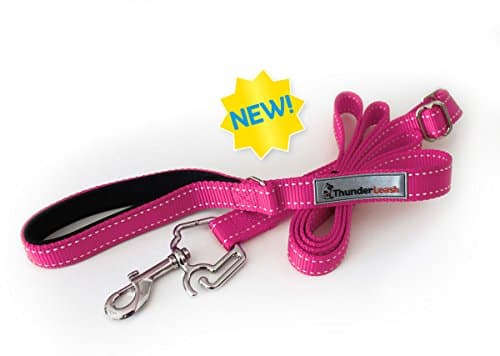 No-Pull Dog Leash (Small (12 to 25 lbs), Pink)