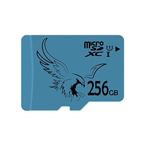BRAVEEAGLE 256GB Micro SD Card Class 10 Flash Memory Card with SD Adapter for GoPro/Dash Cam (256GB U1)