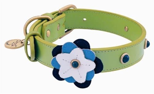 Sodalite Petal Leather Dog Collar - Medium