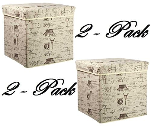 Home Basics Storage Ottoman, Paris 2 Pack