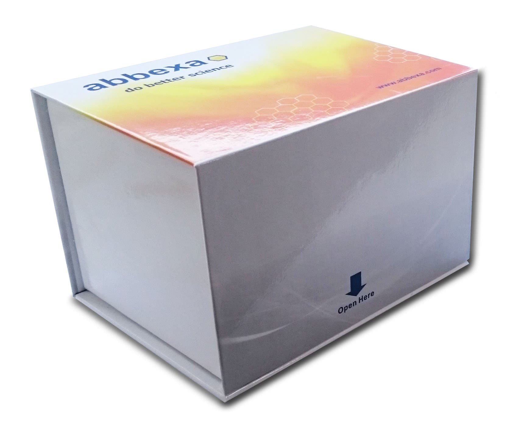 Mouse Glucagon ELISA Kit