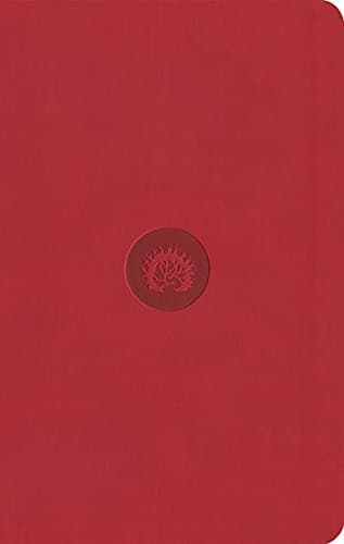 ESV Reformation Study Bible, Student Edition - Red, Leather-Like