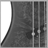 Array Attack 5 Series TRAAA5BKB 5-String Bass Guitar, Black Burl