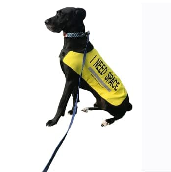 Yellow Dog UK Dog Vest - I NEED SPACE (Extra Large)