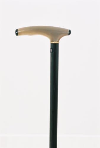 Ebony Walking Stick with a Horn Handle