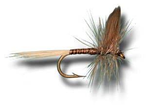 Blue Quill Fly Fishing Fly
