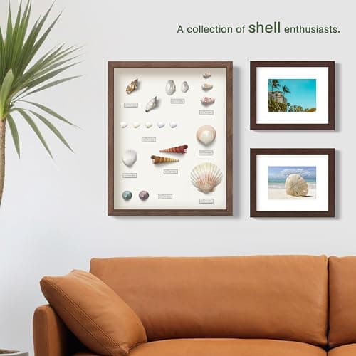 FrameWorks 12x16 Driftwood Wooden Shadow Box Frame – Soft Felt Back, Tempered Glass, and Included Elegant White Ball Push Pins