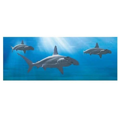 Animated Hammerhead Sharks 3D Bookmark - Ruler