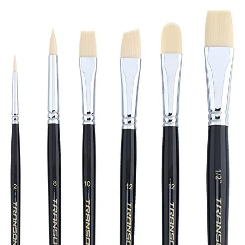 Transon Assorted Paint Brush Set of 6