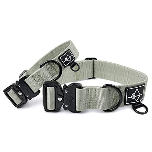 ROAM Premium Dog Collar - Adjustable Heavy Duty Nylon Collar with Quick-Release Metal Buckle (Eucalyptic Glow, Size 5)