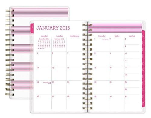 Pink Pinstripe Planner, Small 2015 - Monthly/Weekly Planner
