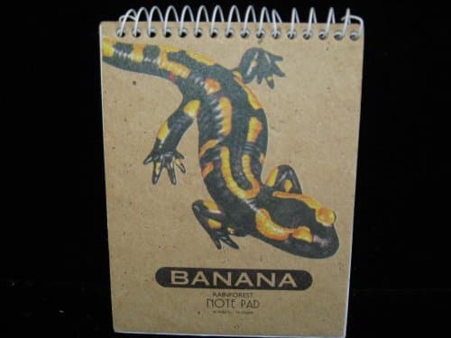 Initial "V" Magnetic Shopping List Pad w/Bow