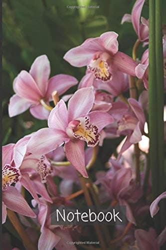 Cymbidium Notebook: A journal which writes ideas, needs, observations and new ways of thinking | lined Diary Cymbidium Design Notebook (Cymbidium Notebook and Journal)