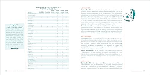 The Soapmaker's Companion: A Comprehensive Guide with Recipes, Techniques & Know-How (Natural Body Series - The Natural Way to Enhance Your Life)