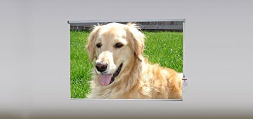 Golden Retriever-45 Theme, Printed Adjustable Interior Fabric Sheer Roller Shade with Beaded Chain in Right (5' Width)