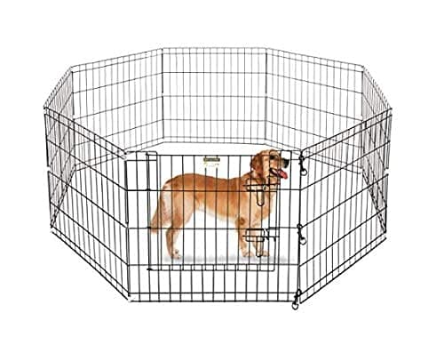 Pet Guard Pets Buzz, Foldable Metal Dog 6 Panel Playpen for Dogs (75 X 75)