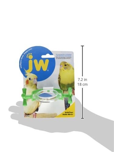 JW Activitoy Rattle Mirror