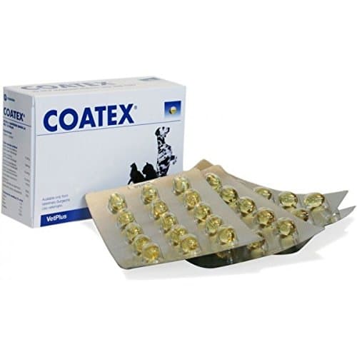 Coatex 敏感肌カプセル 猫&犬用 60