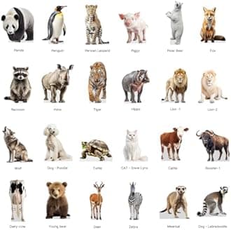 Bear - Life Size Cardboard Cutout Standup People with Support Standee | Animals -2