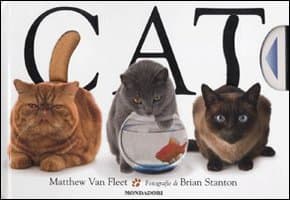 Cat Hardcover – 1 Feb. 2011