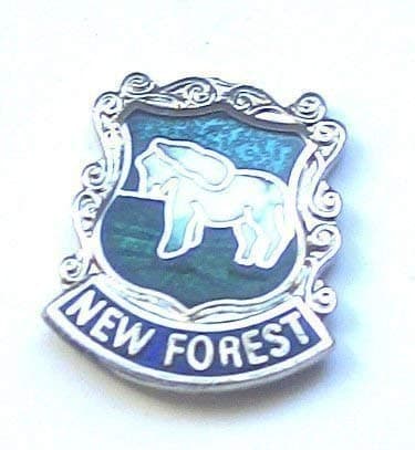 New Forest Enamel Lapel Pin Badge