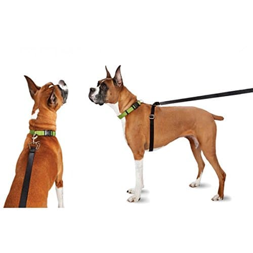 ThunderLeash Retractable No Pull Solution Dog Leash, Large