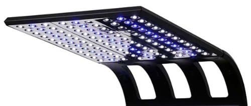 JBJ Flipper FL-208 10.8 LED Light - Black