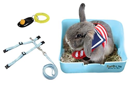 Blue Square Corner Litter Box with Grate 11" x 8.5" for Small Pets Under 4 lbs & Training Clicker & Harness and Leash Set Bundles