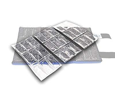 Pro Ice PI-301 Ice Pack Inserts Only - Reusable Ice Packs for Injuries - Ice Packs Insert Set for Wrist & Hand Cold Therapy Wrap