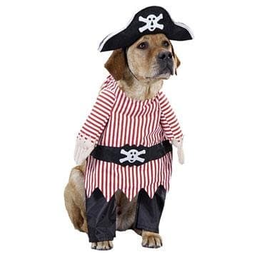 Ahoy There Pirate Pet Costume (Medium)
