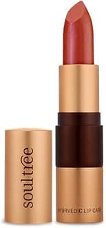 Deep Blush Lipstick 1 unit (Red)