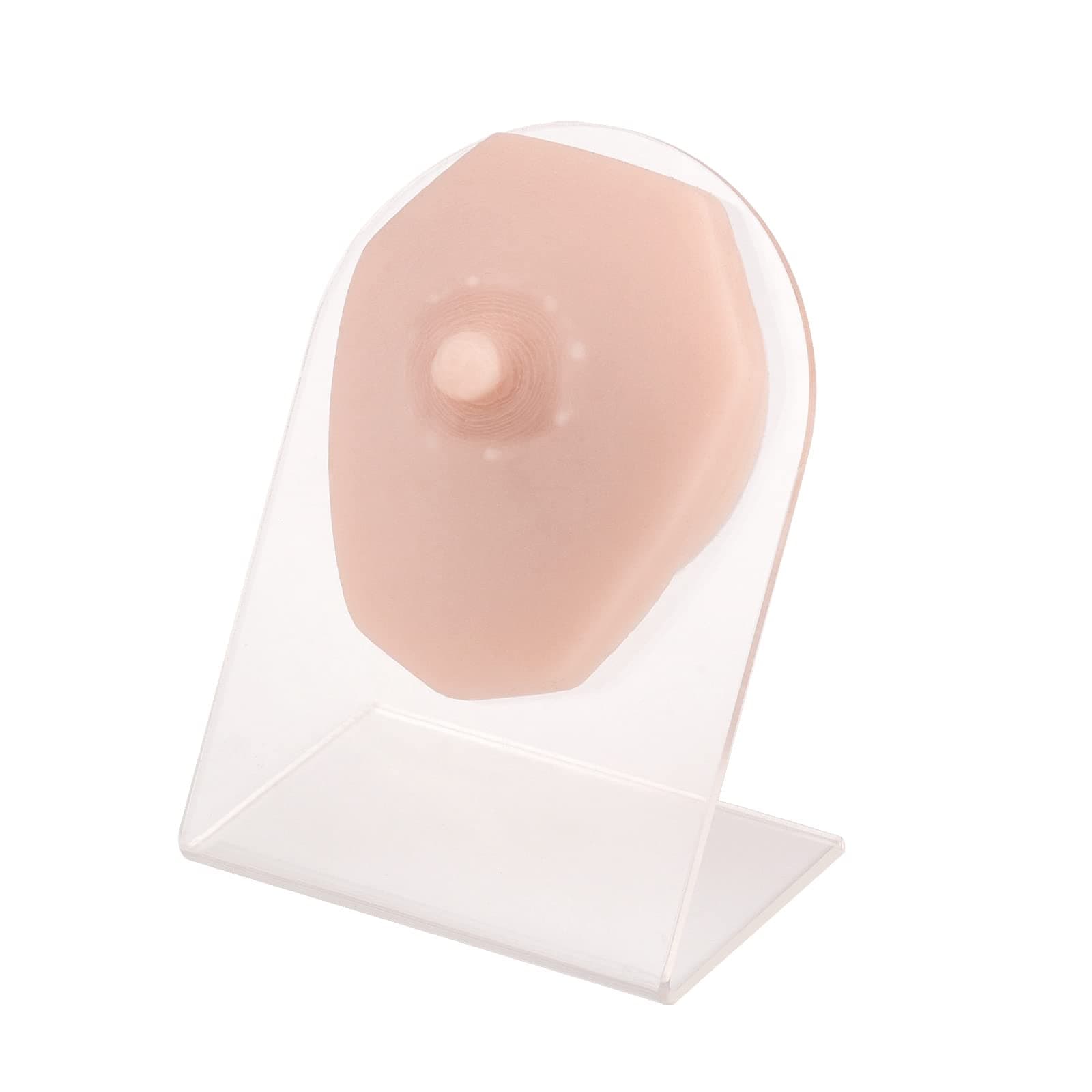 SimCoachSoft Silicone Piercing Model with Acrylic Stand, Piercing Practice Body Parts, Flexible Mold for Jewelry Display