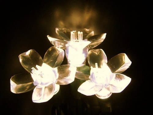 New Warm White Battery Operate 40 Warm White LED with Cherry blossom Covers 13FT String Light