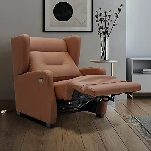 Sofas & More Leo Motion 1 Seater Leather Sofa Scandinavia Oslo Rust (FG111ACMS04LE1STRMOSNORUST)