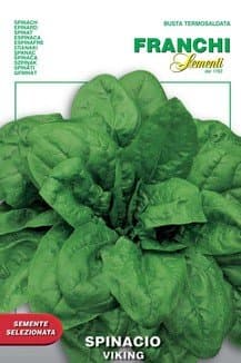 Italian Heirloom Spinach - Viking
