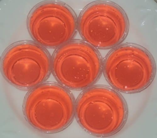 PEACH CANDY - 6 Pack Gel Melts