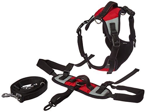 Lift and Go Dog Lead, Medium, Red