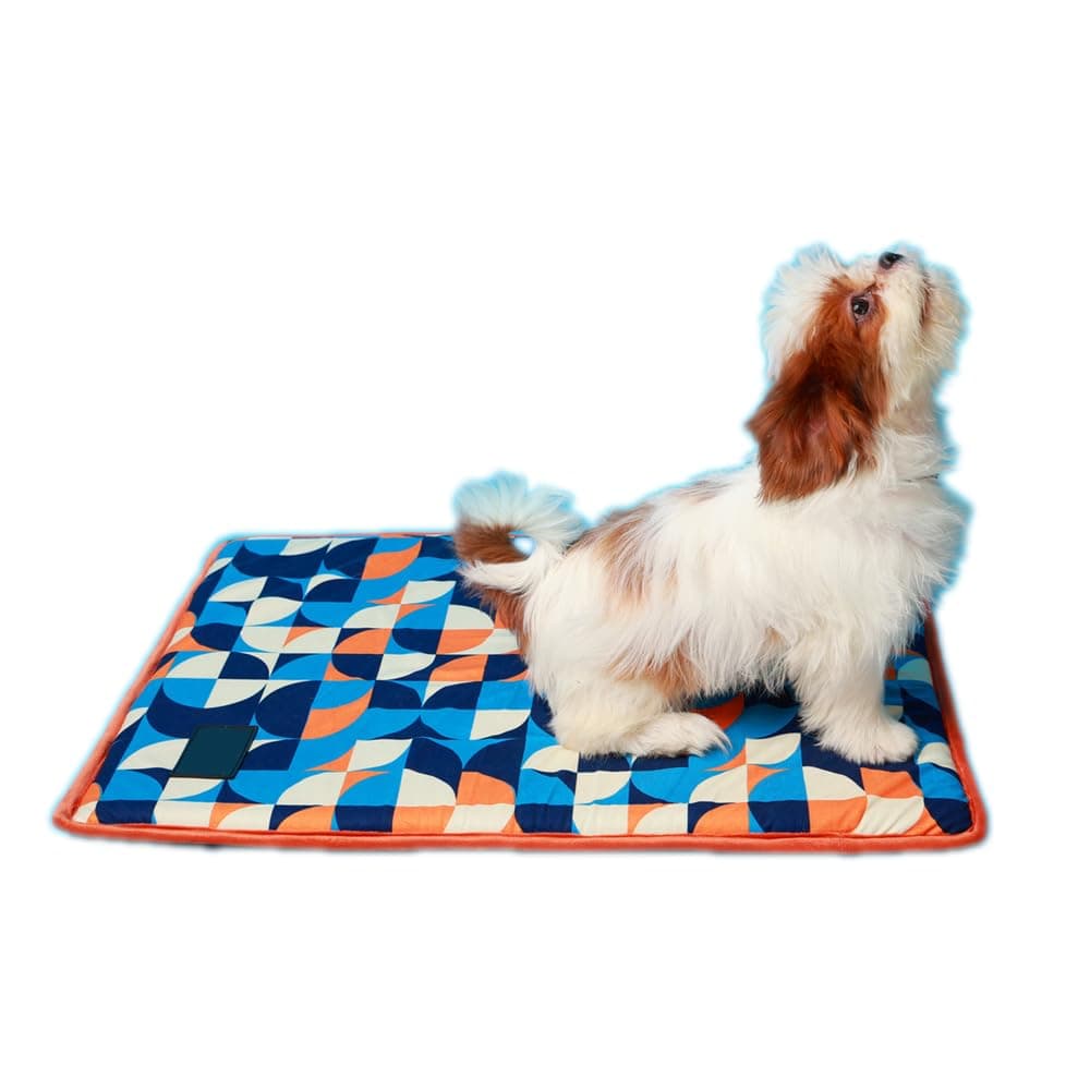 FURRFAB Trippy Circles Doogy Mat-Small