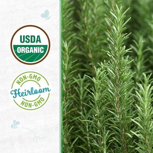 Seed Packet - Rosemary