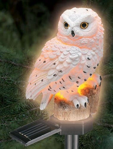 Etail Solar Powered Hand Painted White Owl