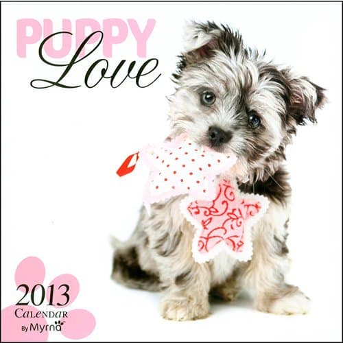 Puppy Love Wall Calendar 2013