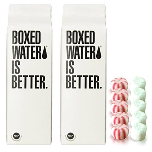 Boxed Water Is Better 500ml Including Thank You Mints, 2 Pack