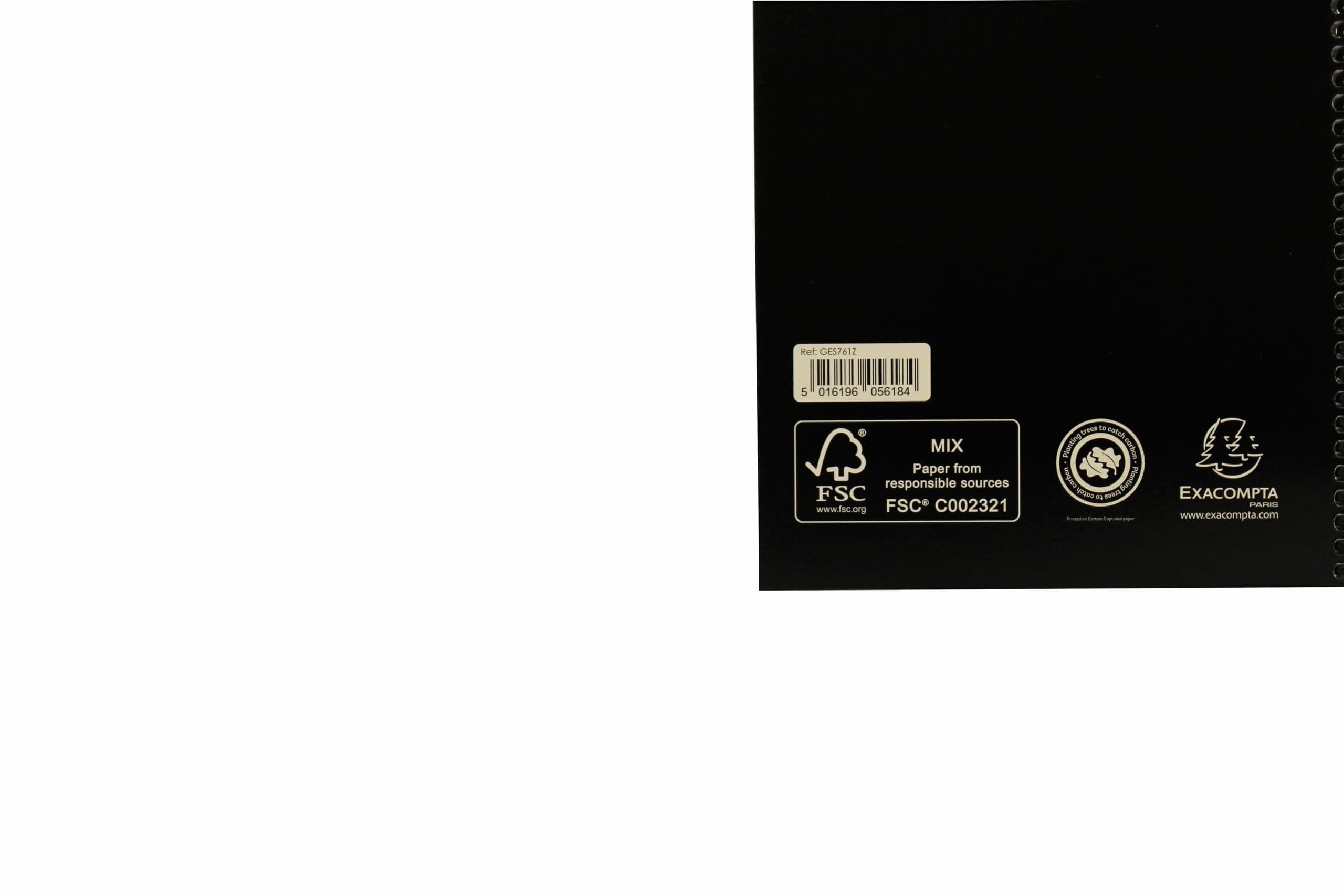 Exacompta - Ref GES761Z - Guildhall - Essentials Wire bound Single Cash Account Book, A5, 148 x 210mm, 192 Pages of 80gsm Pre-Printed Paper - Receipts, Expenses, Summaries