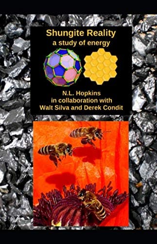 Shungite Reality: a study of energy