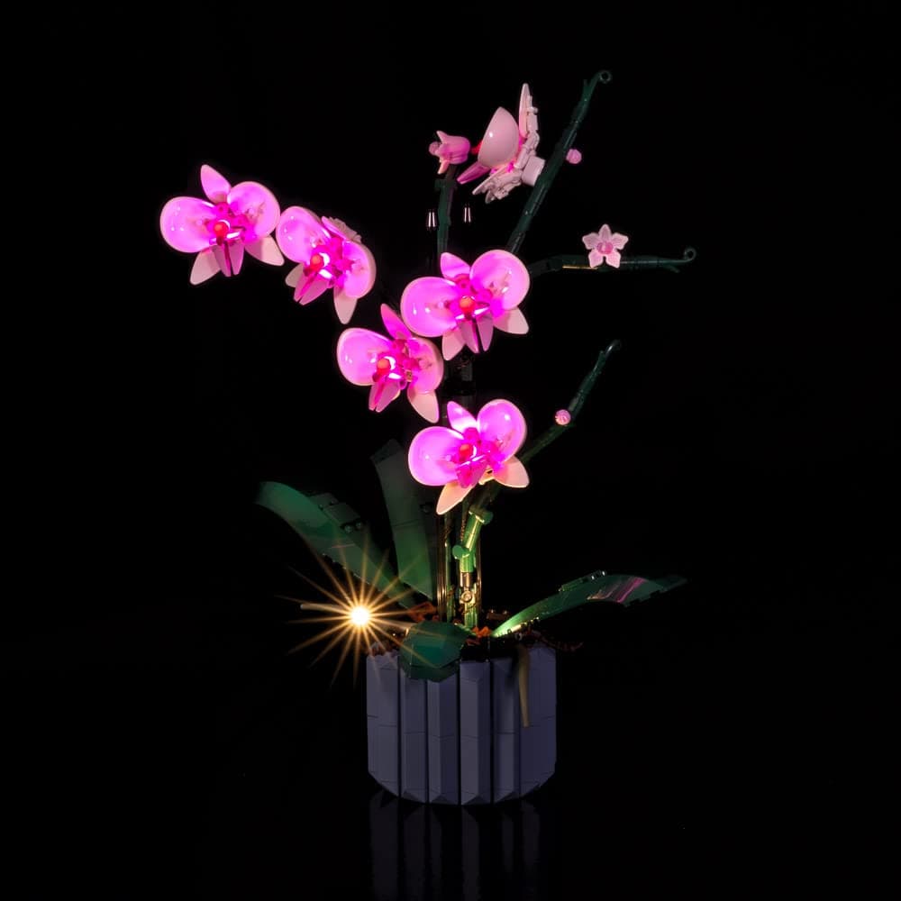 Light My Bricks Light Kit Compatible with Lego Orchid 10311 (Set Not Included)